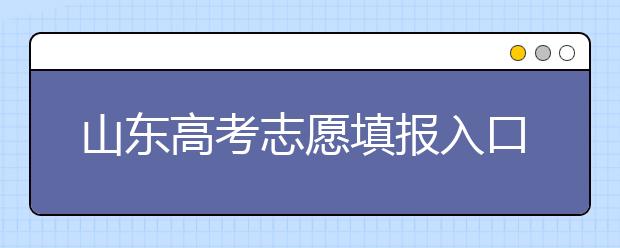 山东高考志愿填报入口-新高考山东96个志愿该如何填报