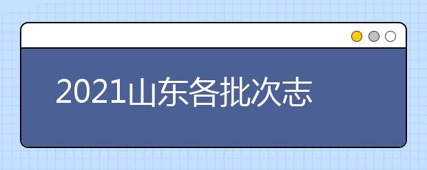 2021山东各批次志愿是如何设置？考生如何填报？