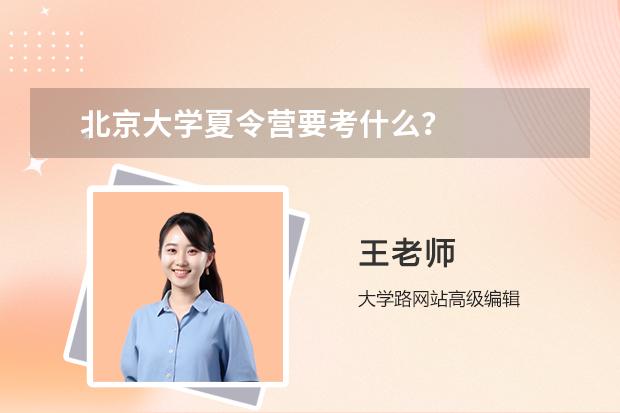 北京大学夏令营要考什么？