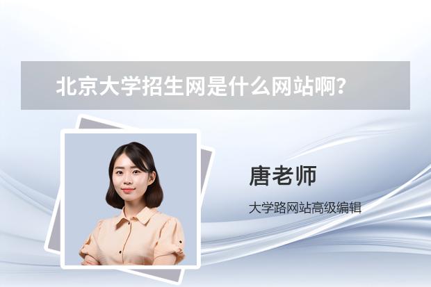 北京大学招生网是什么网站啊？