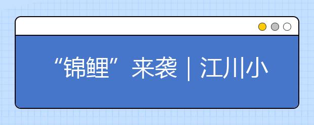 “锦鲤”来袭｜江川小学期末考奖励竟是鲤鱼，每人发2斤活鲤鱼！