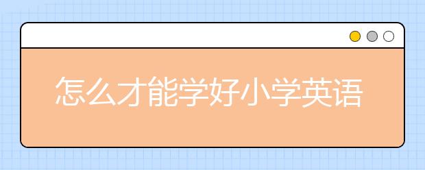 怎么才能学好小学英语？小学英语学习需要做什么？