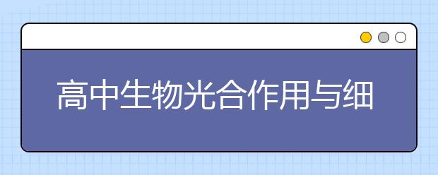 高中生物光合作用与细胞呼吸知识点总结！