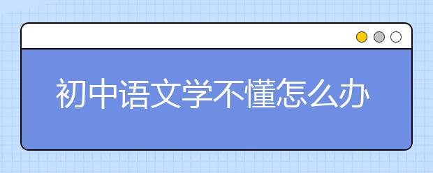 初中语文学不懂怎么办，初中语文如何学好得高分