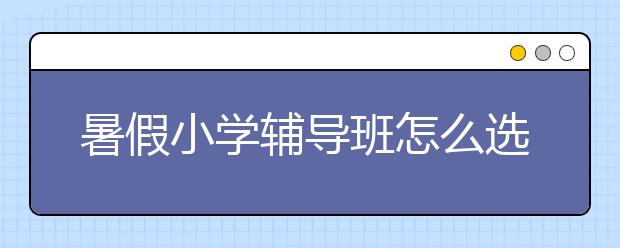 暑假小学辅导班怎么选，暑假小学辅导班哪里有?