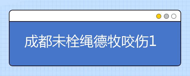 成都未栓绳德牧咬伤13岁少年 主人5年内不得养犬