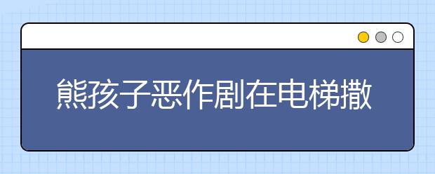 熊孩子恶作剧在电梯撒尿 虎妈道歉并惩罚孩子打扫电梯