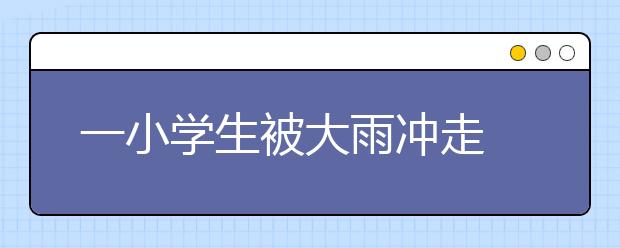 一小学生被大雨冲走 居民合力在荷塘中救起！