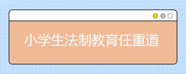 小学生法制教育任重道远 专家建议：法治教育内容回归青少年生活