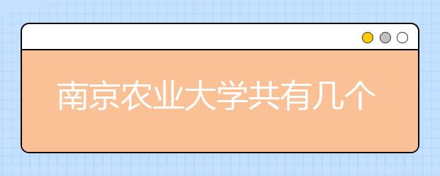 南京农业大学共有几个校区？各个校区具体地理位置在哪里？