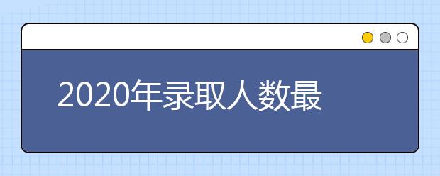 2020年录取人数最多的十大文科专业