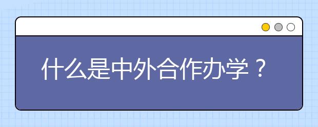 什么是中外合作办学？