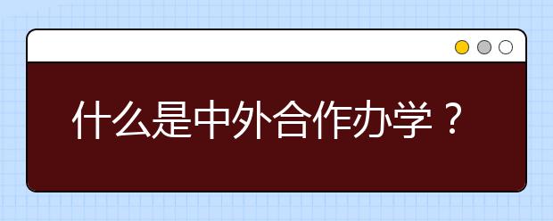 什么是中外合作办学？