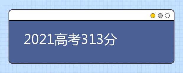 2021高考313分可以上什么大学