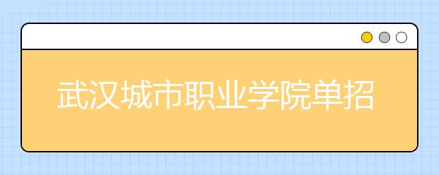 武汉城市职业学院单招2020年单独招生录取分数线