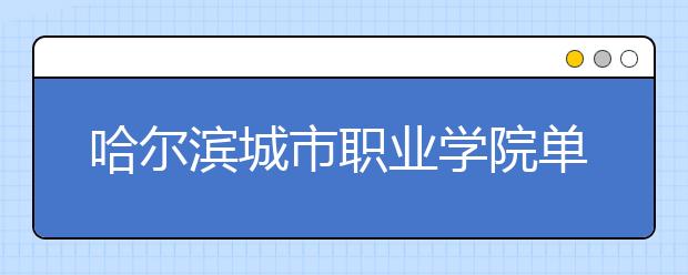 哈尔滨城市职业学院单招2020年单独招生简章