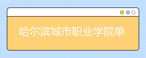 哈尔滨城市职业学院单招2020年单独招生录取分数线