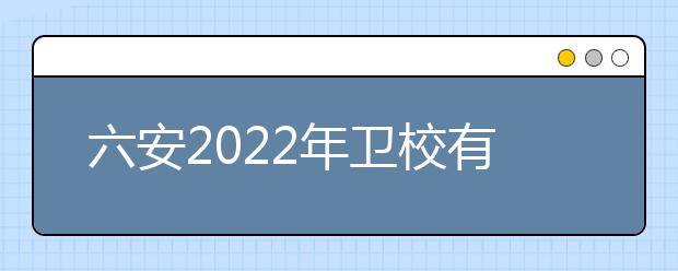 六安2022年金宝搏app安卓下载有哪些专业适合女生