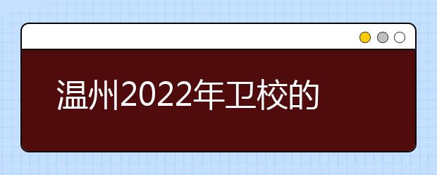 温州2022年金宝搏app安卓下载的专业有哪些