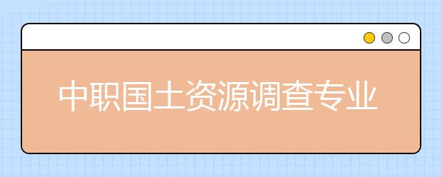 中职国土资源调查专业主要学什么?