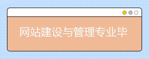 网站建设与管理专业毕业出来干什么？