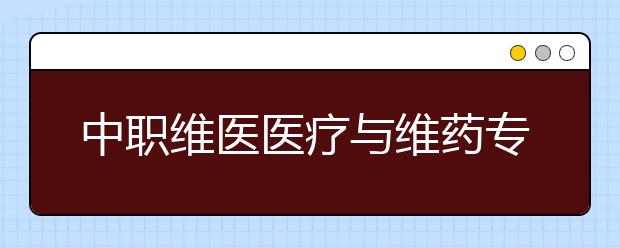 中职维医医疗与维药专业学出来有什么前途?