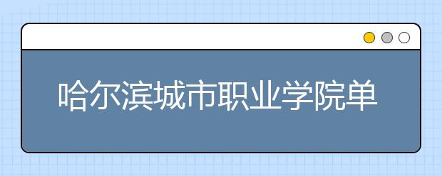 哈尔滨城市职业学院单招2020年单独招生录取分数线