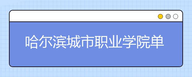 哈尔滨城市职业学院单招2020年单独招生简章