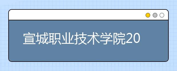 宣城职业技术学院2021年招生办联系电话