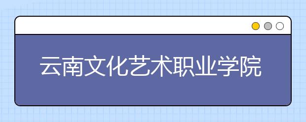 云南文化艺术职业学院单招简章