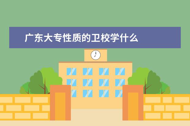 广东大专性质的金宝搏app安卓下载学什么广东金宝搏app安卓下载有哪些