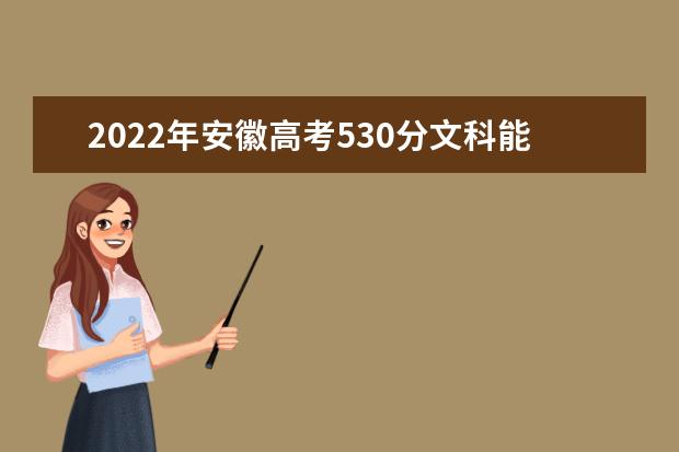 2022年安徽高考530分文科能上什么大学