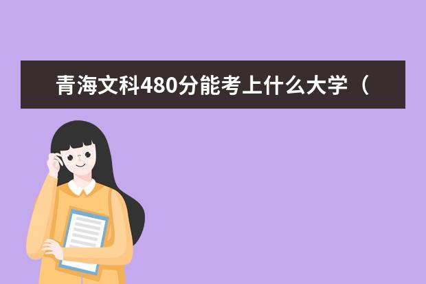 2022年青海文科480分能考上什么大学