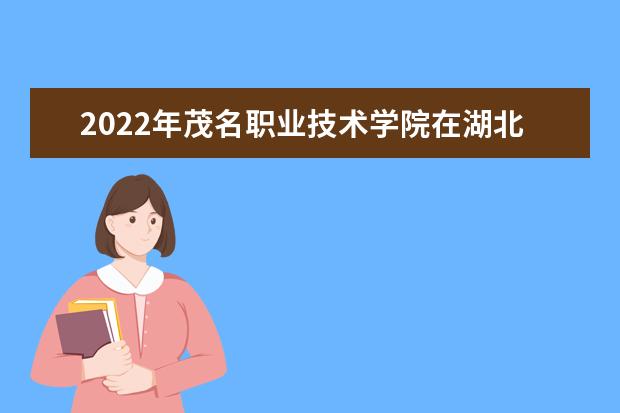 2022年茂名职业技术学院在湖北的录取分数线是多少？