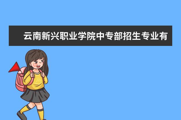 云南新兴职业学院中专部招生专业有哪些重点学科