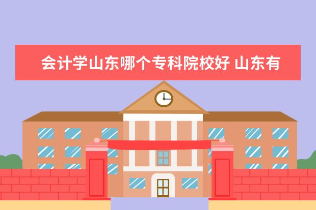 会计学山东哪个专科院校好 山东有哪些可以学会计的大专啊