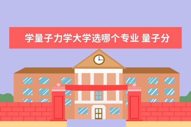 学量子力学大学选哪个专业 量子分析专业应该选哪个大学?