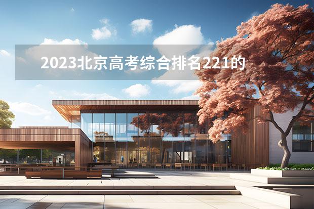 2023北京高考综合排名221的考生报什么大学