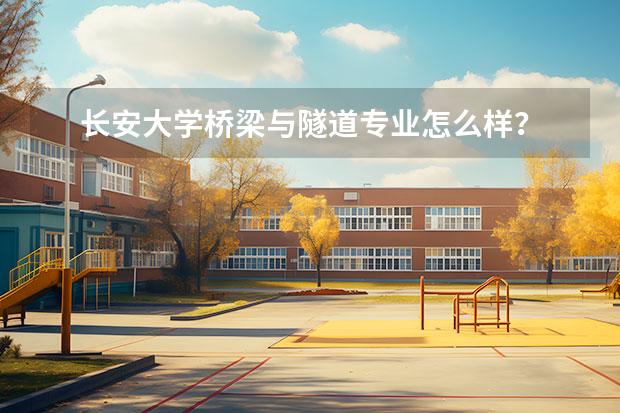 长安大学桥梁与隧道专业怎么样？