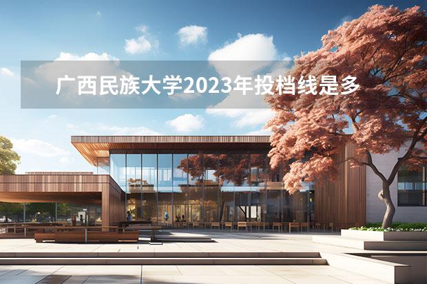 广西民族大学2023年投档线是多少